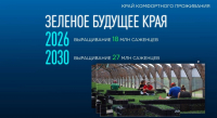 Хабаровский край станет драйвером проектов по искусственному воспроизводству лесов на Дальнем Востоке
