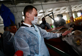 Михаил Дегтярев проверил готовность местных фермеров нарастить объемы в рамках импортозамещения