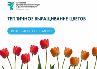 Перейти к новости Тюльпаны, розы и хризантемы: новое инвестиционное предложение подготовило АПИРИ