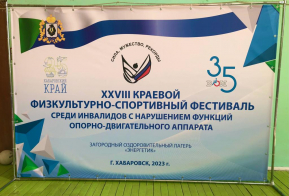 Физкультурно-спортивный фестиваль инвалидов проходит под Хабаровском