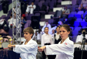 15 медалей завоевали хабаровские спортсмены на чемпионате и первенстве мира по тхэквондо ГТФ