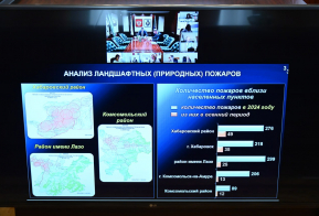 Число лесных пожаров в Хабаровском крае в 2025 году сократилось втрое