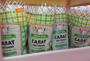 В торговые сети Хабаровска поступят салатные культуры местного производства