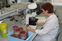 Перейти к новости В Хабаровском крае отмечен незначительный рост заболеваемости ОРВИ